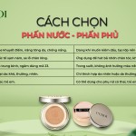 Combo Phấn Nước + Lõi C’Choi Herbal DD Cushion