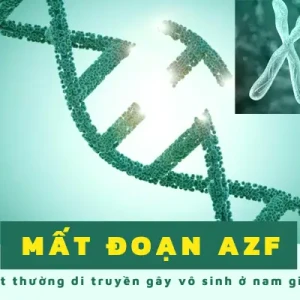 Xét nghiệm di truyền - AZF